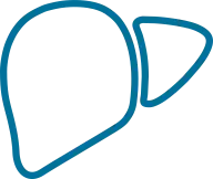 Department of Hepatology