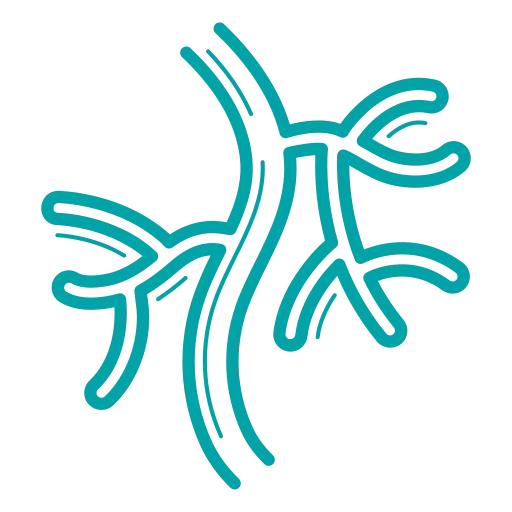 Department of Cardio Thoracic And Vascular Surgery