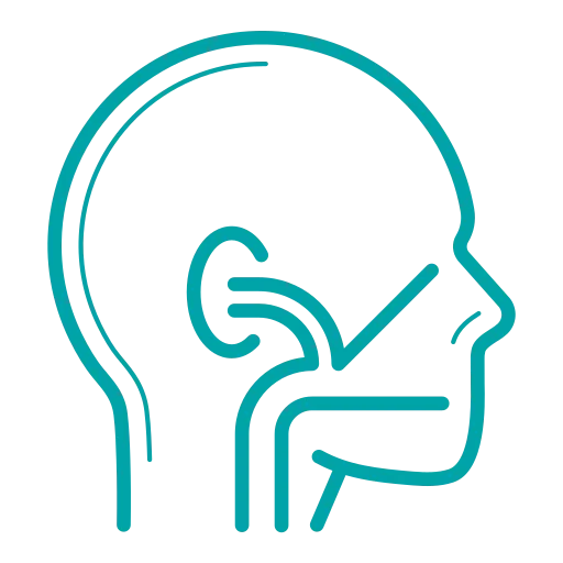 Department of Ear Nose And Throat