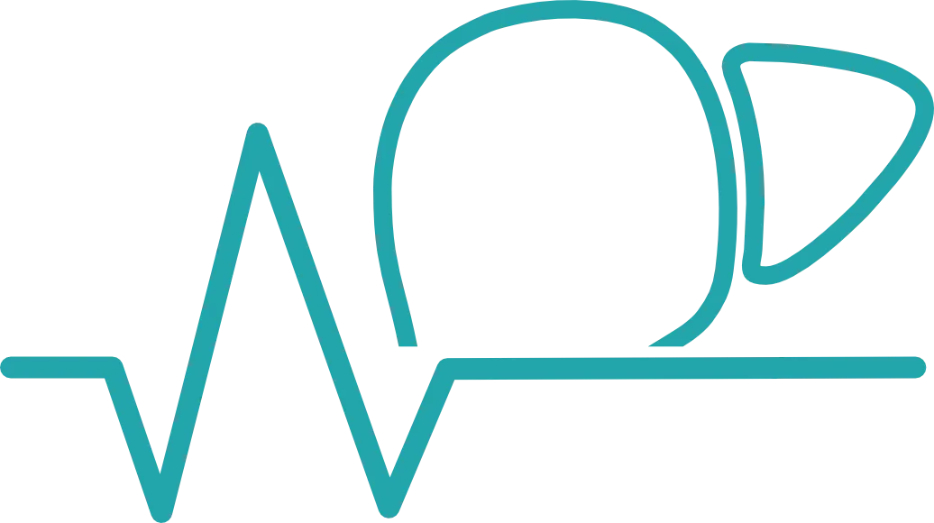 Liver Ansethesia & Critical Care