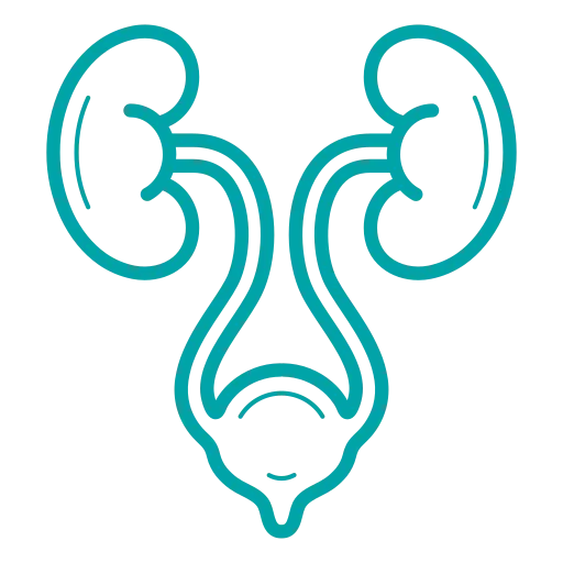 Uro Gynaecology